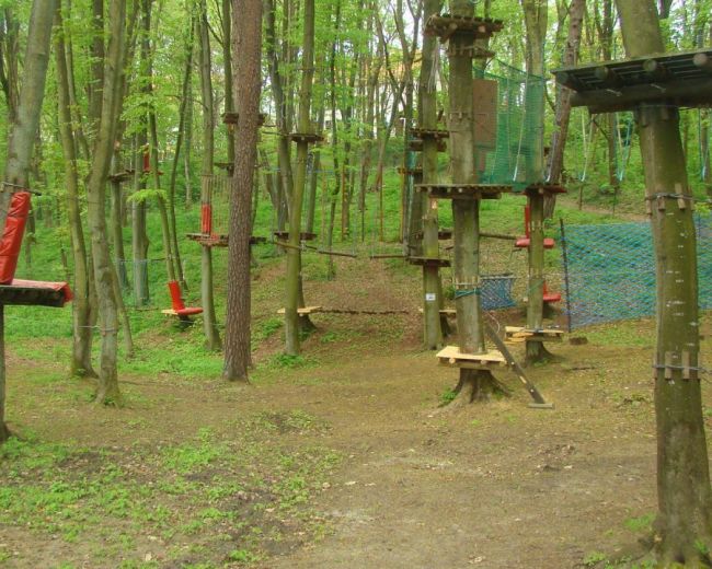 Attractions of the area